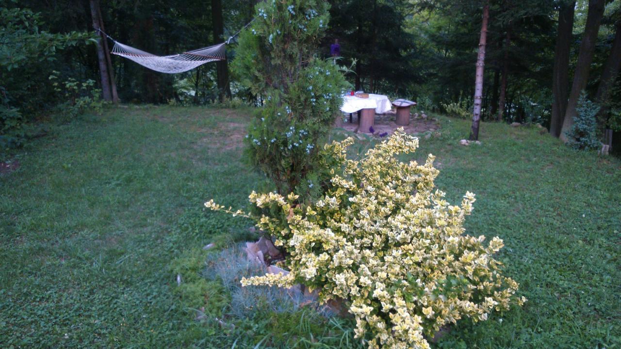 Tammaris Holiday Home 维索科 外观 照片